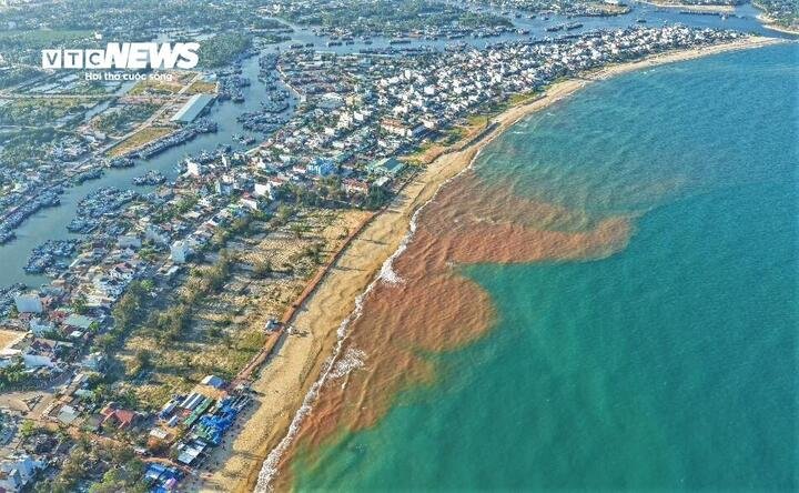 Đó là một dải nước màu nâu đỏ kéo dài dọc bờ biển phường Hoài Nhơn Bắc, nhiều ý kiến cho rằng đây là hiện tượng
