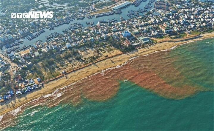 Từ trên cao, hình ảnh bờ biển với làn nước chia làm hai màu nâu đỏ và xanh dương đối lập, khiến khung cảnh vùng biển Thiện Chánh trở nên khác biệt, độc lạ và bắt mắt.