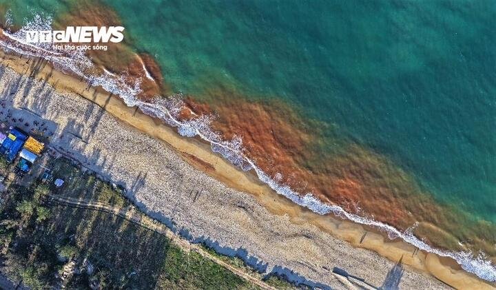 Được biết hiện tượng lạ này đã xuất hiện tại vùng biển này hơn 1 tuần qua, một số người tỏ ra lo lắng về ảnh hưởng của hiện tượng trên đối với môi trường và đời sống của ngư dân vùng biển.