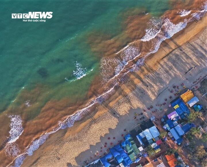 Ông Nguyễn Văn Hóa, Chủ tịch UBND phường Hoài Nhơn Bắc thông tin, nguyên nhân cụ thể và mức độ ảnh hưởng của hiện tượng