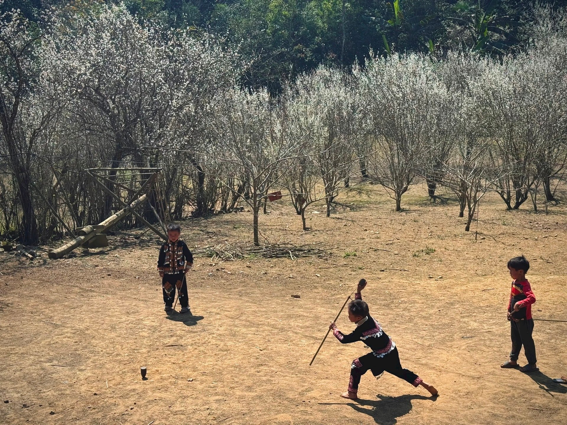 Hình ảnh những bạn nhỏ vùng cao chơi quay gỗ trong rừng mận cổ tích. (Ảnh: Oanh Đỗ)