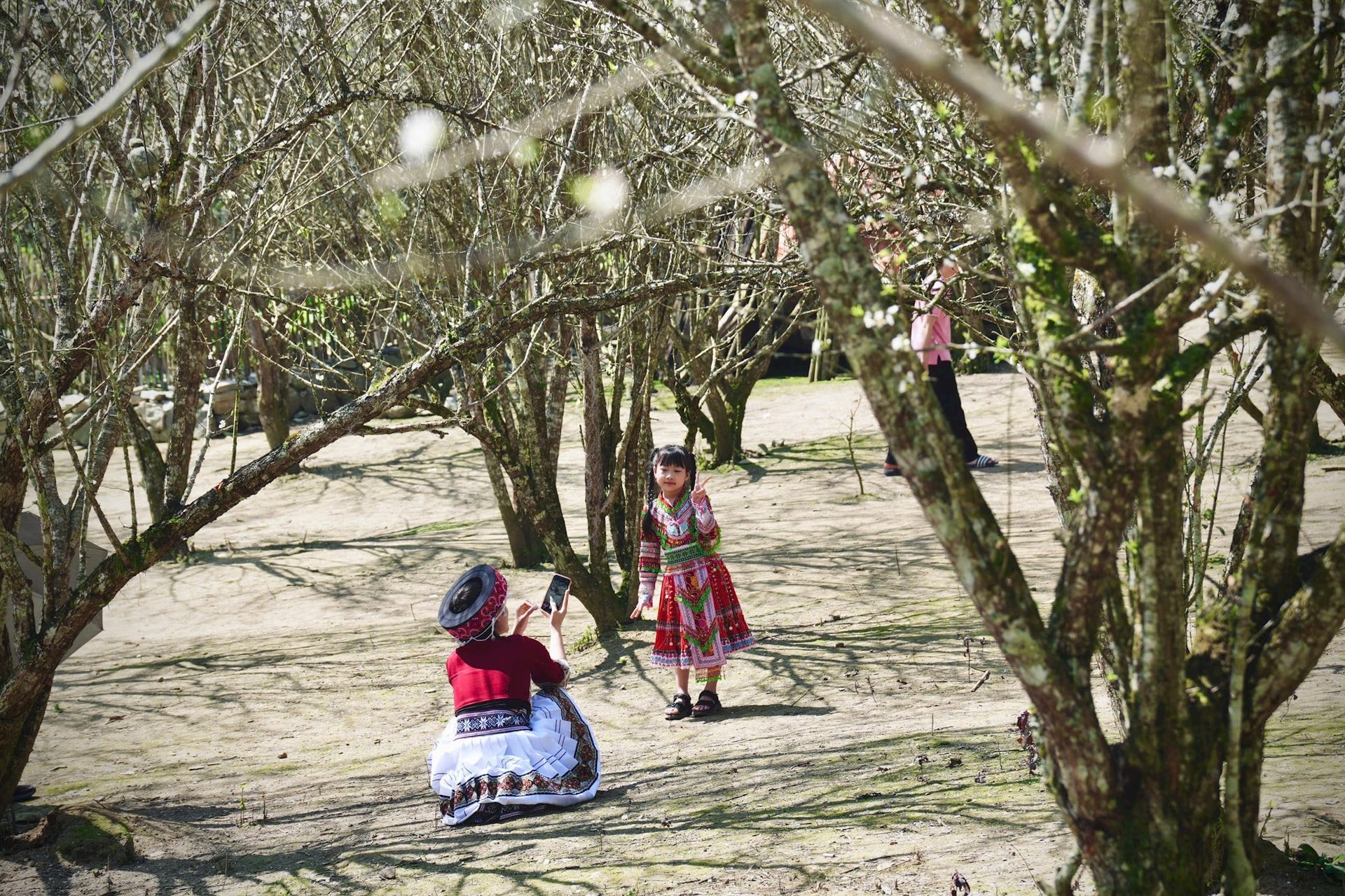 Đường lên Bắc Hà khá thuận lợi, phù hợp với cả xe máy và xe ô tô nên đây đã trở thành điểm đến quen thuộc của nhiều nhiếp ảnh gia và du khách. (Ảnh: Oanh Đỗ)