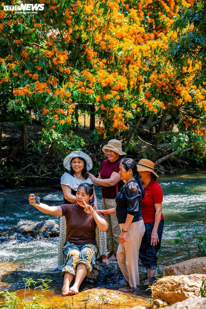 Chị Trần Mỹ Linh, du khách từ Khánh Hòa, chia sẻ: “Gia đình tôi ngỡ ngàng trước vẻ đẹp hoang sơ ở đây. Không khí rất trong lành, nước suối mát lạnh, nhìn những chùm hoa trang rừng rực rỡ soi bóng xuống dòng suối, cảm giác mọi mệt mỏi đều tan biến”.