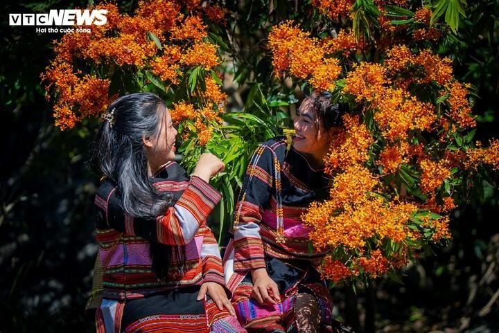 Mùa hoa trang rừng Tà Má không chỉ là món quà của thiên nhiên mà còn là biểu tượng cho sức sống mãnh liệt của vùng đất đại ngàn, một điểm sáng trên bản đồ Năm du lịch Quốc gia của Gia Lai. Hiện, địa phương và người dân làng Hà Ri nơi đây tích cực chuẩn bị cho ngày hội Thưởng ngoạn Hoa Trang Suối Tà Má lần thứ II, dự kiến diễn ra vào cuối tháng 3/2026.