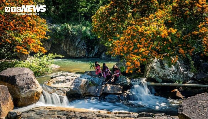 Ông Huỳnh Đức Bảo, Chủ tịch UBND xã Vĩnh Thịnh cho biết, địa phương xác định không chỉ dừng lại ở việc ngắm hoa, du khách về đây còn tìm hiểu về đời sống của người Ba Na. Việc phát triển du lịch ngắm hoa trang rừng tại suối Tà Má không chỉ giúp quảng bá hình ảnh địa phương mà còn mở ra cơ hội sinh kế mới cho bà con. Thay vì chỉ sống dựa vào nương rẫy, giờ đây người dân có thêm thu nhập từ việc dịch vụ du lịch, góp phần thúc đẩy kinh tế - xã hội vùng cao phát triển bền vững.