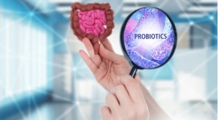 Hệ vi sinh đường ruột có liên quan mật thiết đến hệ miễn dịch của cơ thể (Ảnh: Shutterstock)