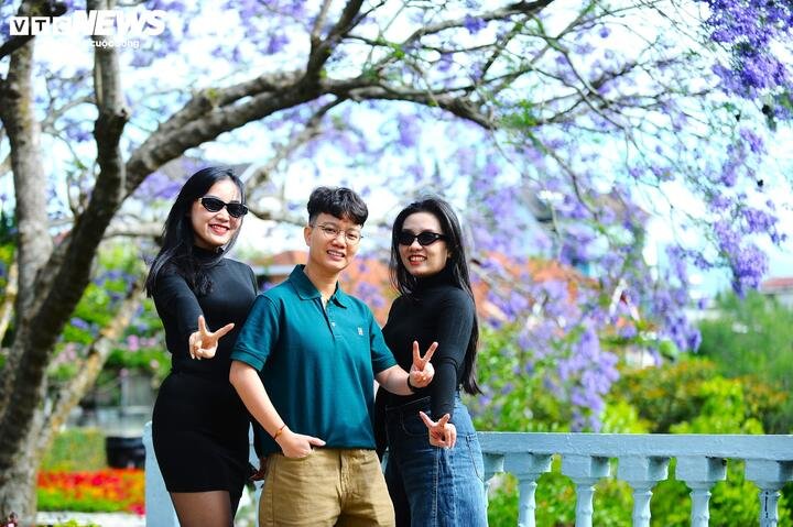 Đường Nguyễn Thị Minh Khai, nơi dừng chân của cây phượng cổ thụ đầu tiên từ thời kỹ sư Sáu, tán hoa rộng che mát cả lối vào chợ, tạo nên vẻ đẹp hoài cổ giữa lòng phố thị xô bồ. Nhiều du khách thích thú đến đây ngắm loài hoa độc đáo này.