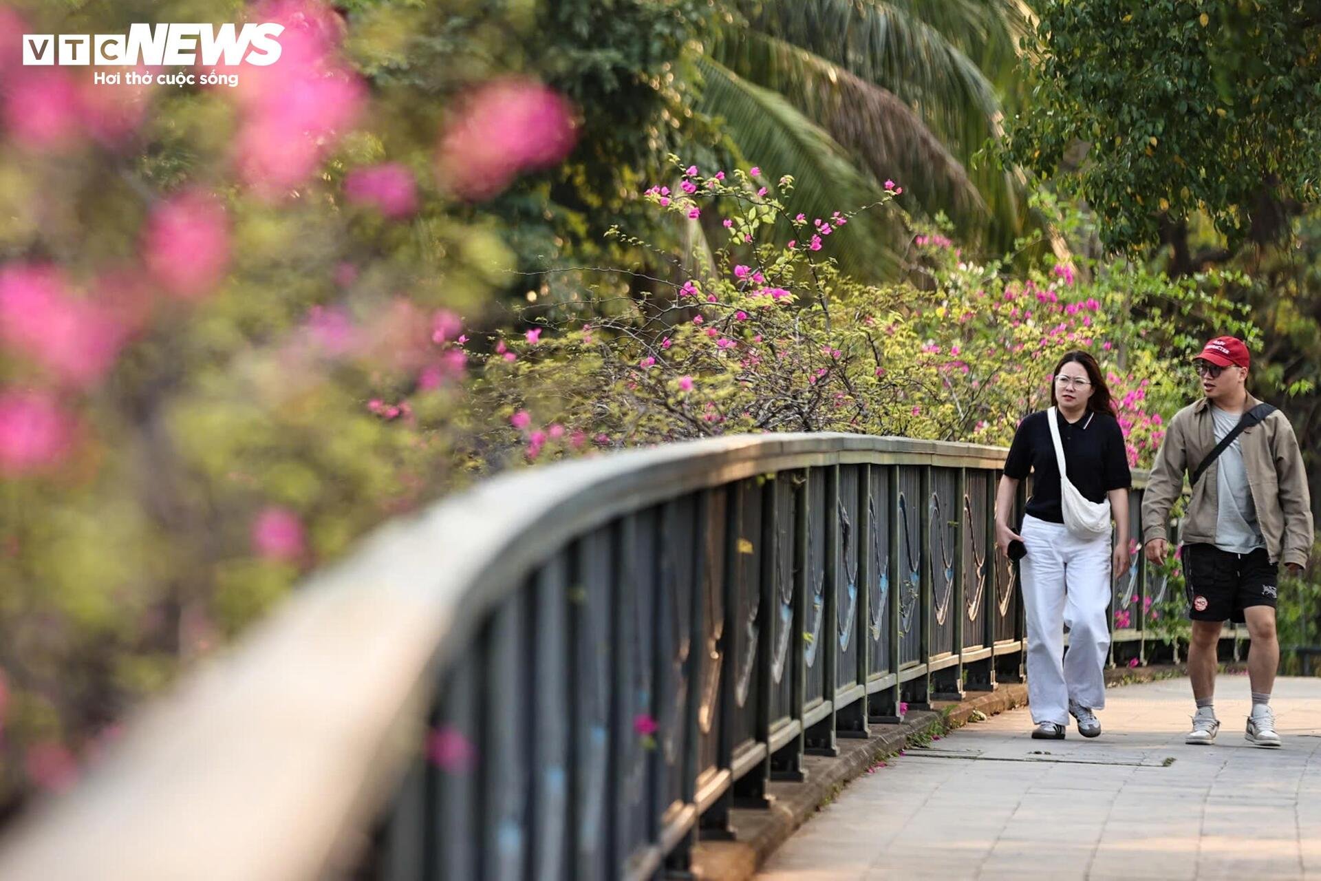 Hoa giấy phủ kín cầu Thủy Tiên, khung cảnh như 'xứ sở thần tiên' - 13