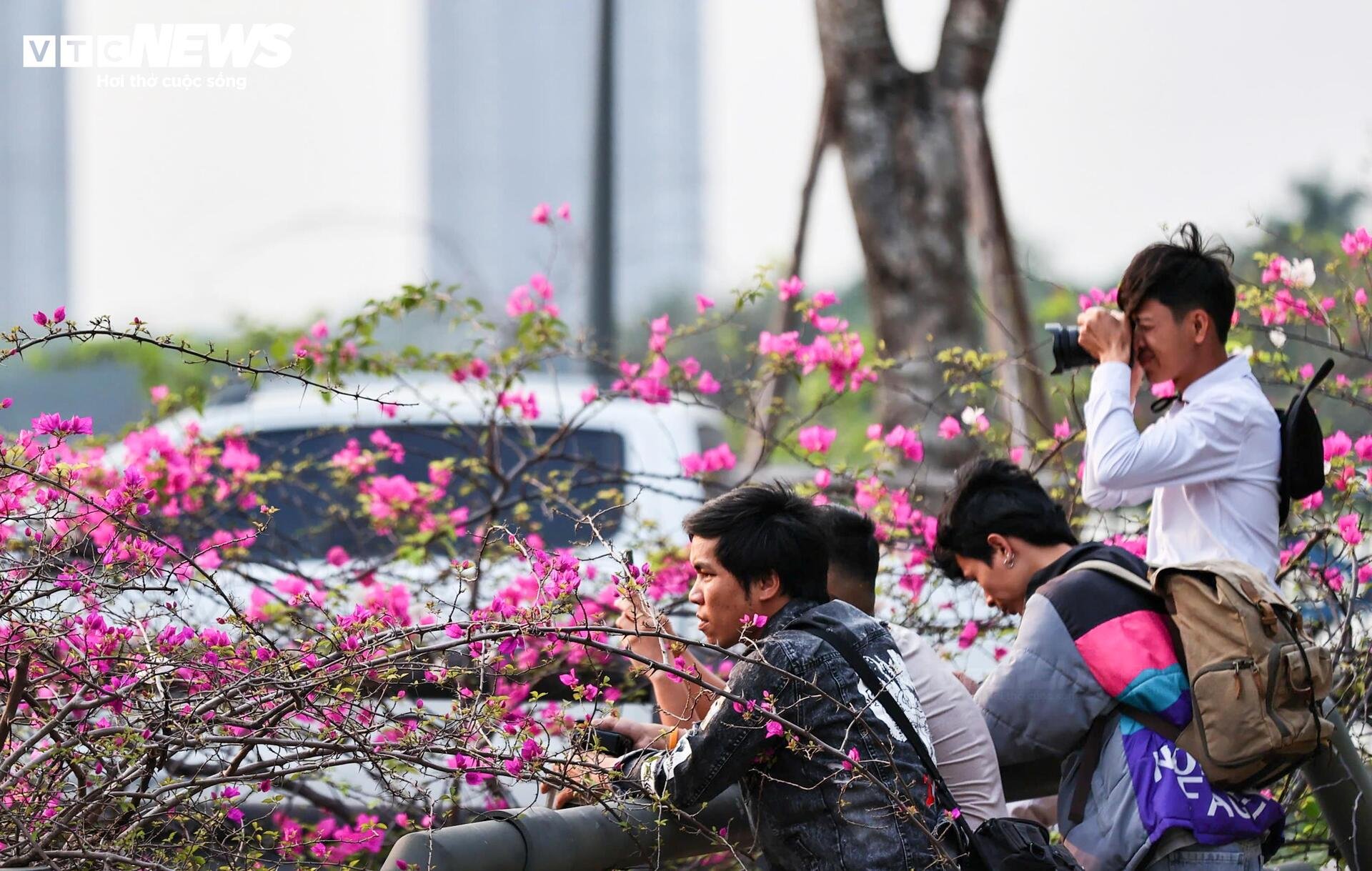 Hoa giấy phủ kín cầu Thủy Tiên, khung cảnh như 'xứ sở thần tiên' - 14