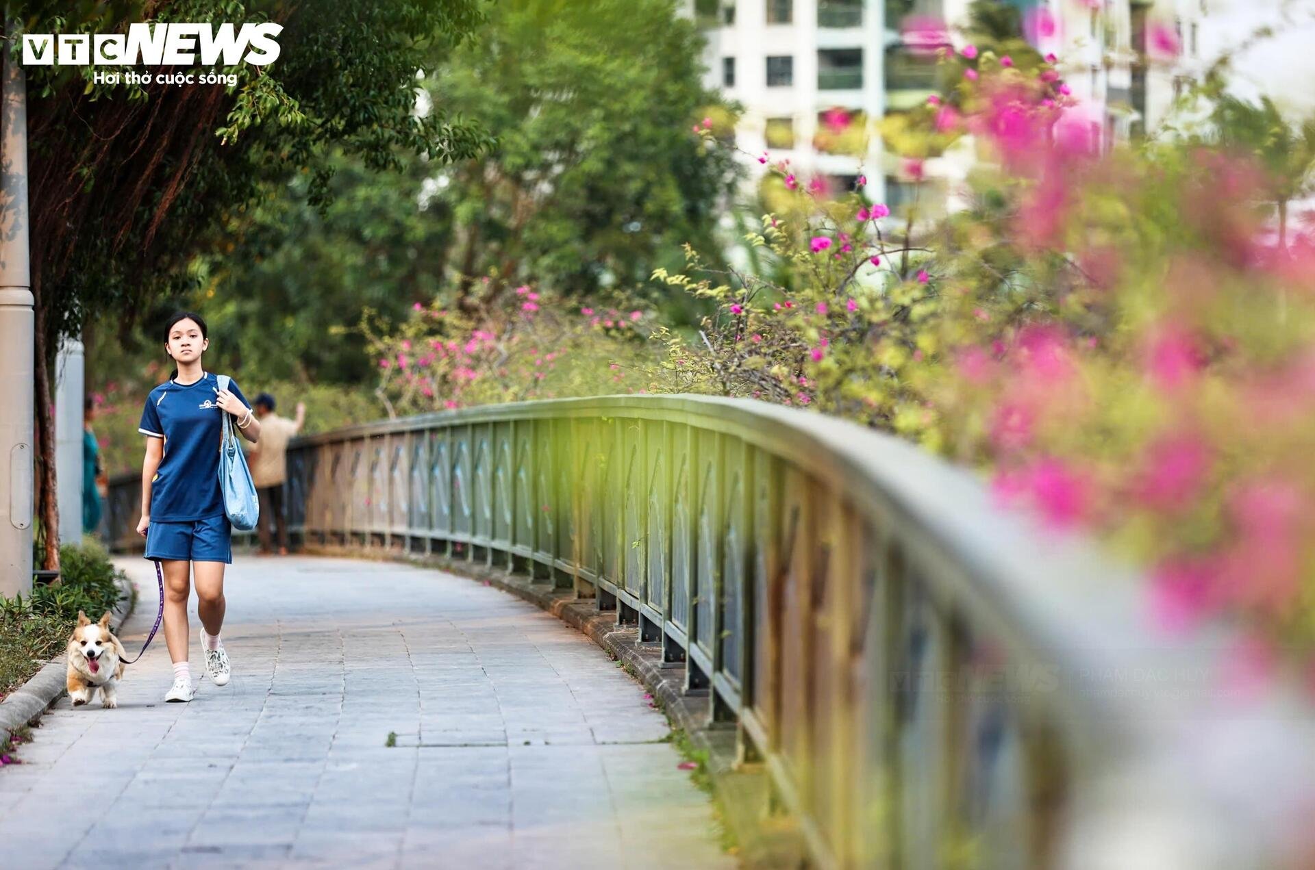 Hoa giấy phủ kín cầu Thủy Tiên, khung cảnh như 'xứ sở thần tiên' - 16