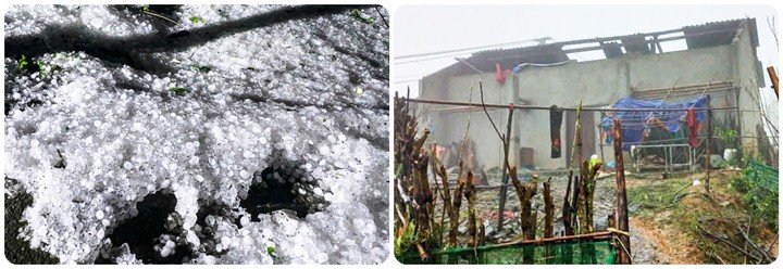 Mưa đá xuất hiện rạng sáng 23/3, trên địa bàn xã Tùng Vài, tỉnh Tuyên Quang làm ảnh hưởng đến đời sống người dân. (Ảnh: T.Q)