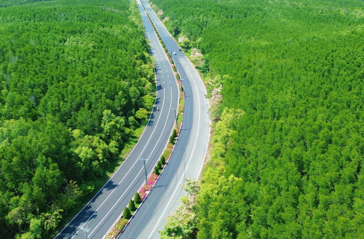 28-1774665675-hon-5000-vdv-se-tham-gia-giai-chay-vnexpress-marathon-green-paradise-can-gio