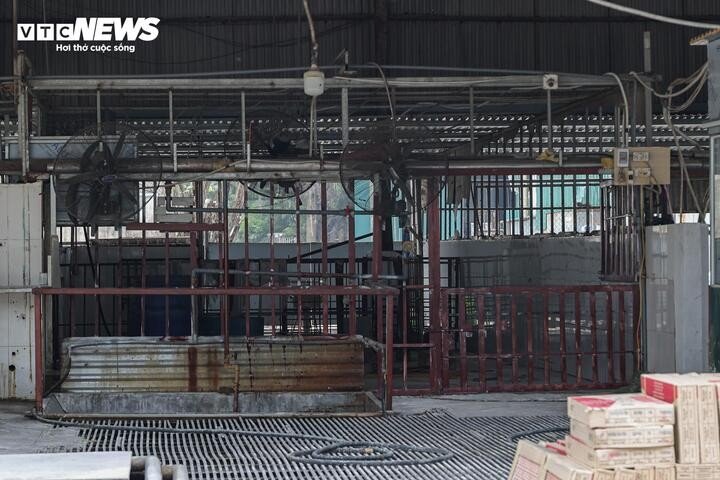 “Theo quy định, mỗi lần thương lái vận chuyển lợn đến giao cho các chủ lò mổ đều phải xuất trình giấy chứng nhận kiểm dịch hoặc giấy tờ chứng minh nguồn gốc. Sau khi kiểm tra hồ sơ và khám lâm sàng, nếu xác định động vật đủ điều kiện, bảo đảm nguồn gốc và không có biểu hiện bất thường, cán bộ kiểm soát mới cho phép đưa vào giết mổ,” người này cho biết.