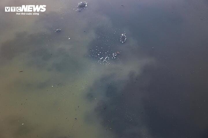 Màu nước xanh của sông Tô Lịch đang dần bị lấn át, hòa lẫn bởi dòng nước đen, bốc mùi hôi thối.