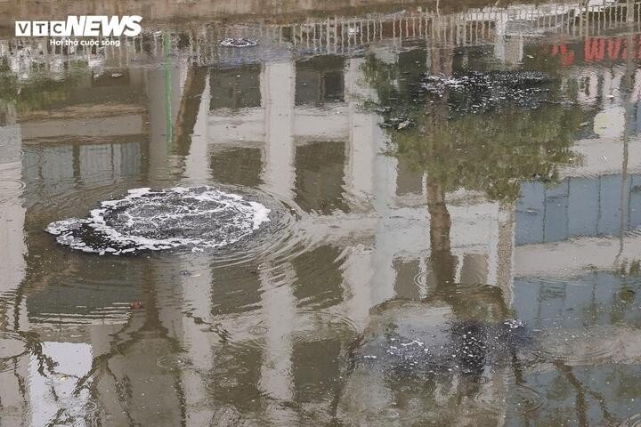 Sau 6 tháng hồi sinh, dòng 'sông chết' ở Hà Nội thay đổi ra sao? - 15