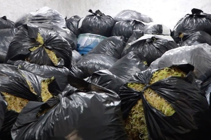 Khởi tố kẻ dùng hóa chất kích thích giá đỗ, tuồn hơn 500 tấn ra thị trường - 3