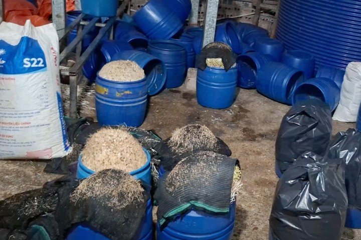 Khởi tố kẻ dùng hóa chất kích thích giá đỗ, tuồn hơn 500 tấn ra thị trường - 2
