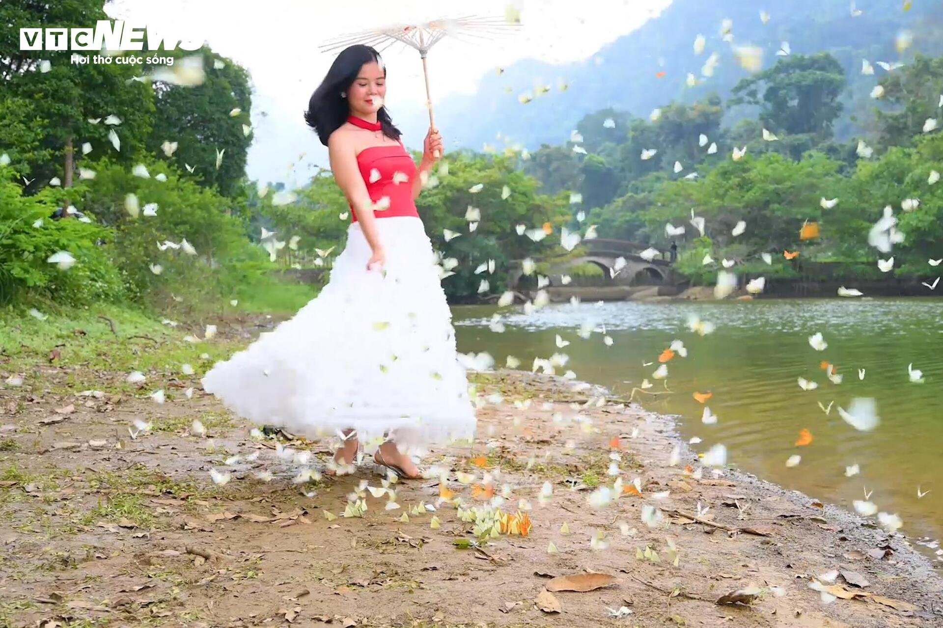 Mãn nhãn hàng triệu cánh bướm bay rợp lối rừng Cúc Phương - 10