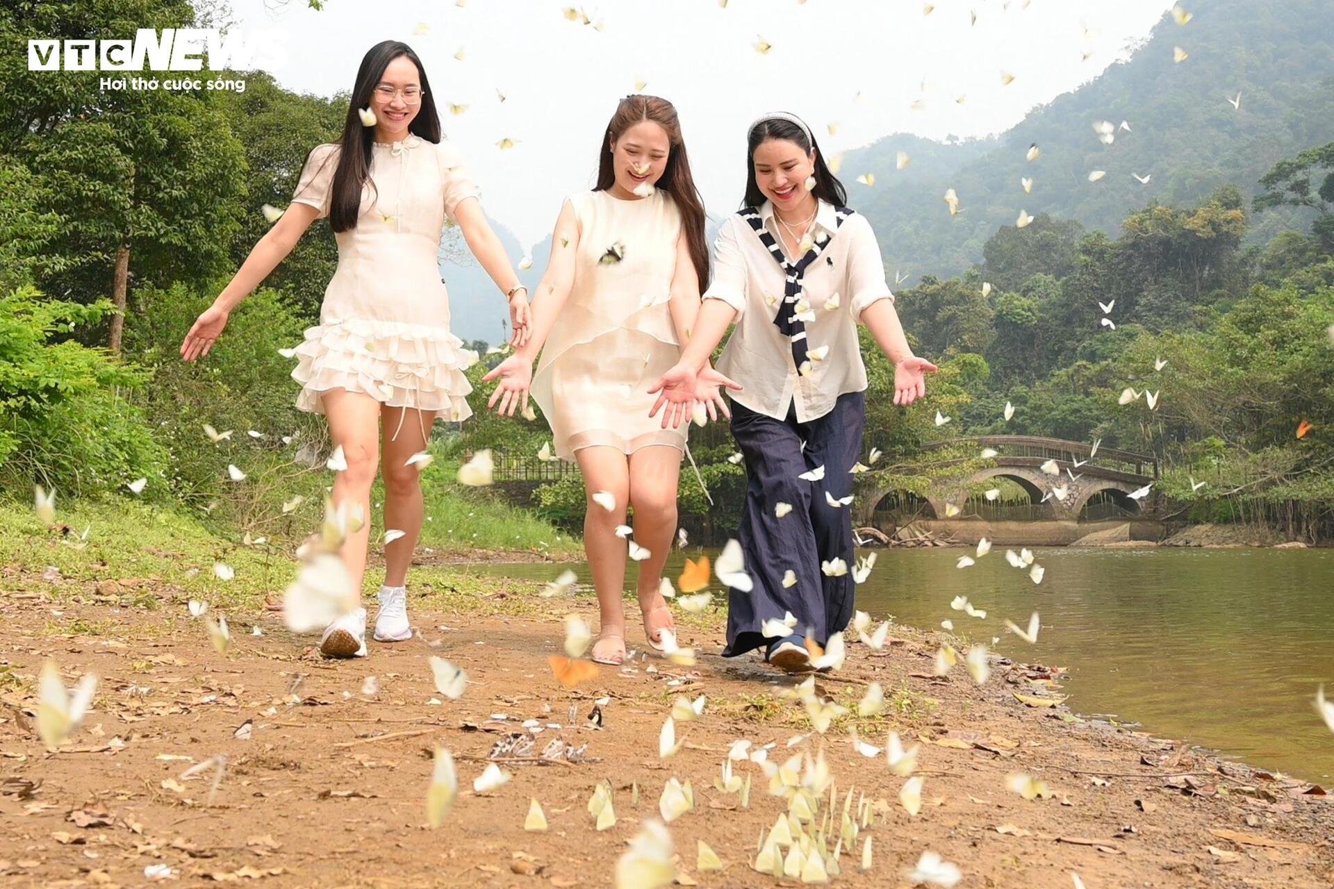 Mãn nhãn hàng triệu cánh bướm bay rợp lối rừng Cúc Phương - 11