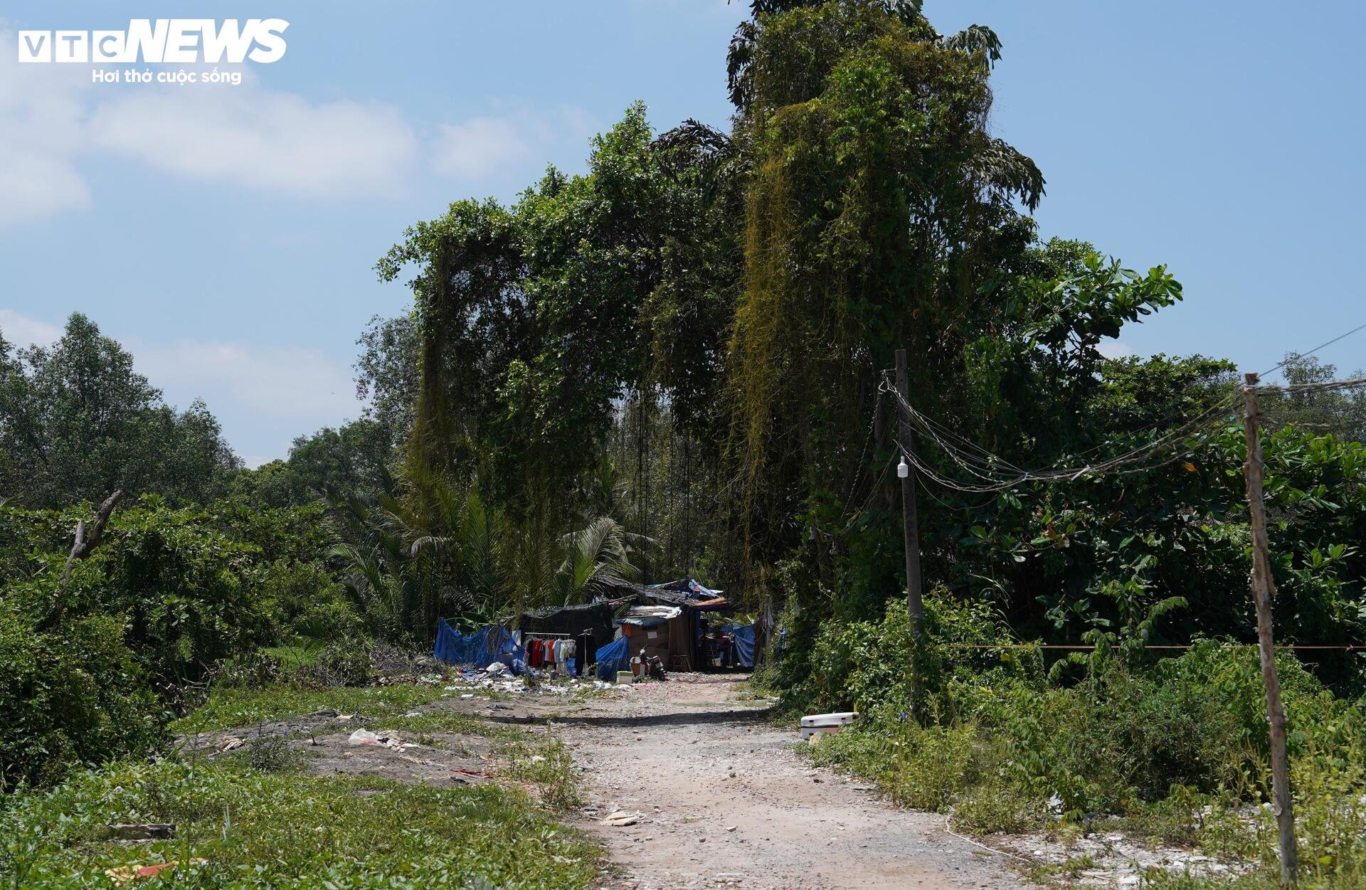 Hiện trạng dự án sắp thành khu liên hợp thể thao hơn 145.000 tỷ ở TP.HCM - 3