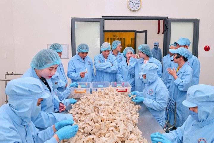 Nguyên liệu đầu vào trải qua đợt tăng giá mạnh từ đầu năm 2025 và tiếp tục tăng trong năm 2026 trước áp lực chi phí vận chuyển tăng mạnh.