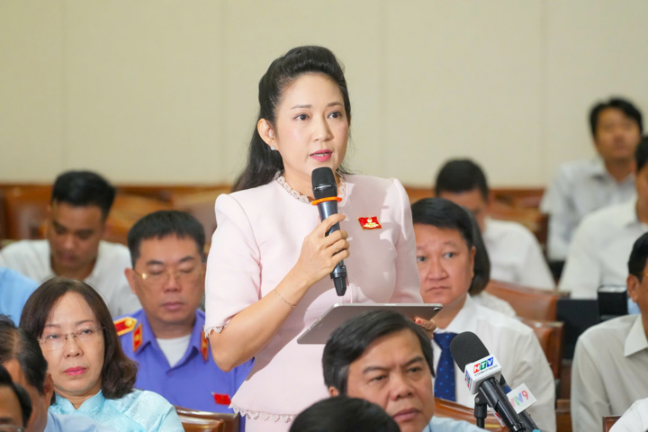 Bà Nguyễn Thị Thanh Thúy, Phó Giám đốc Sở Văn hóa -Thể thao góp ý về chủ trương dừng đầu tư công dự án Nhà hát Giao hưởng nhạc vũ kịch.