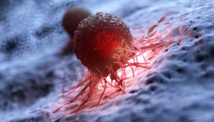 Vì sao vitamin K2 được coi là 