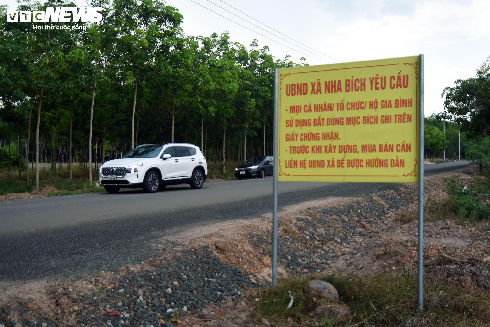 Chuyên gia nêu lý do đất nền phân lô bán cắt lỗ vẫn không có người mua - 2