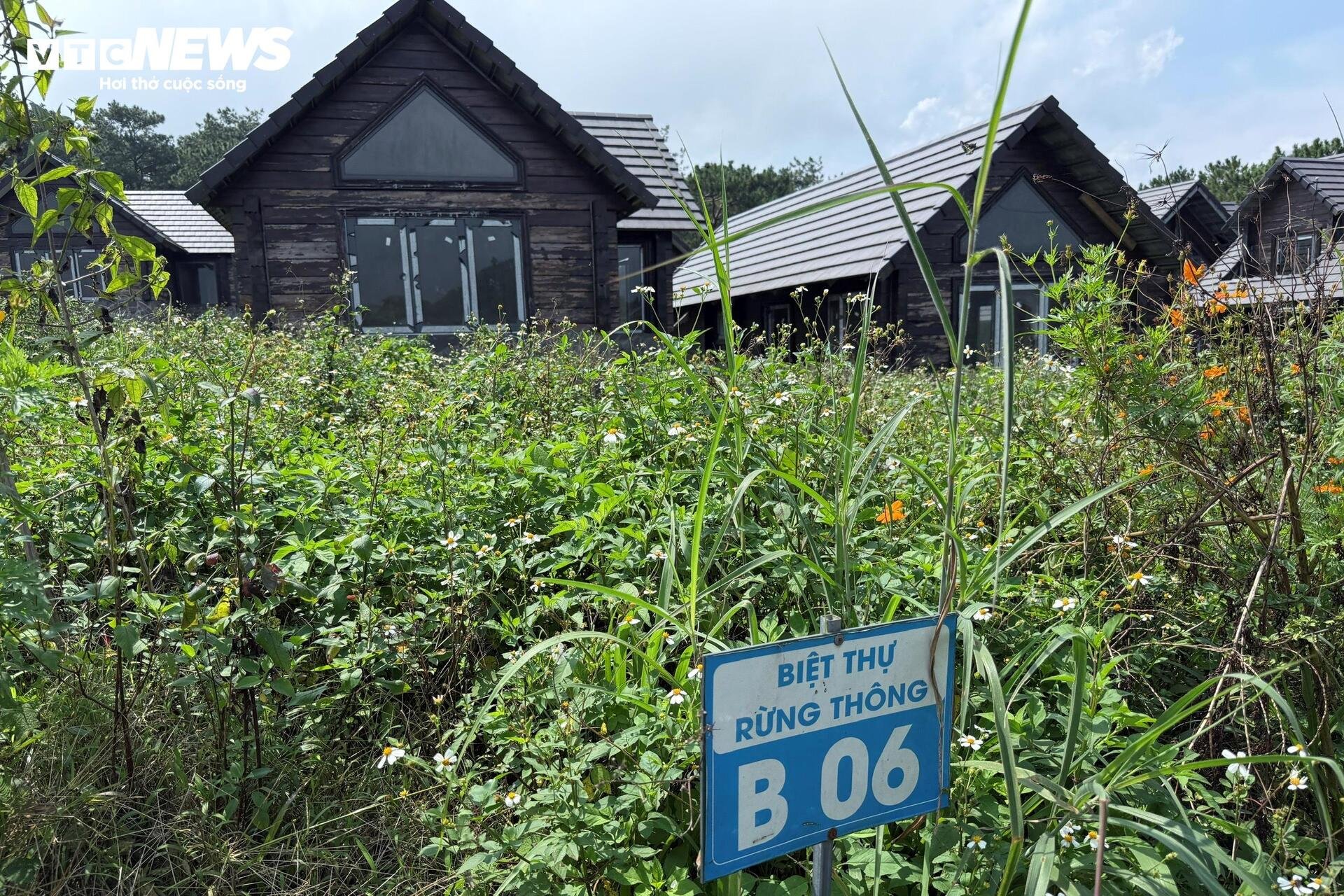 Chuyên gia nêu lý do đất nền phân lô bán cắt lỗ vẫn không có người mua - 4