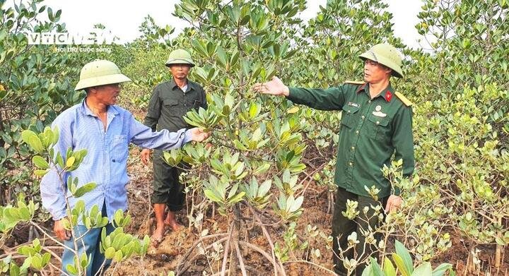 06-1778026064-nhung-cuu-binh-giu-rung-ngap-man-noi-cua-bien-quang-ninh