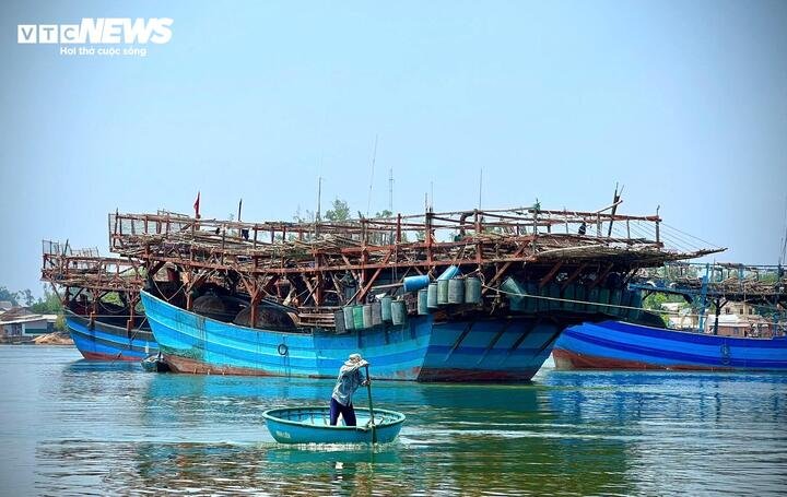 Toàn xã Bình Sơn hiện có hơn 400 tàu cá, trong đó riêng nghề câu mực xà có hơn 160 tàu. Khoảng 60 tàu hoạt động dài ngày từ 2 - 3 tháng trên ngư trường Trường Sa, số còn lại đi ngắn ngày khoảng một tháng. Mỗi tàu thường có từ 45 – 50 lao động.