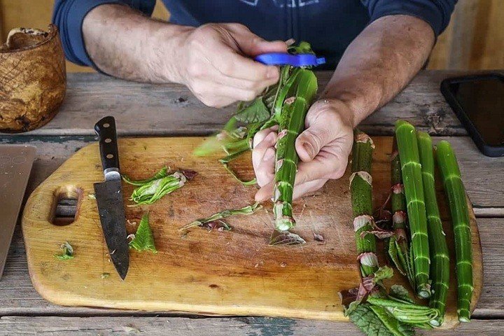 Ngườii Trung Quốc dùng thân và lá cây cốt khí củ để chế biến món ăn.