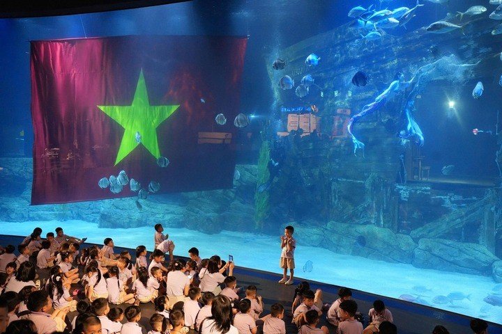 Những chú cá cùng các màn biểu diễn đặc sắc sẽ khiến các bé không thể rời mắt. (Ảnh: Lotte World Aquarium)