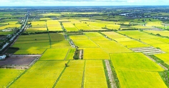 Người dân chuyển mục đích sử dụng từ đất nông nghiệp có nguồn gốc là đất vườn ao gắn liền với đất ở sẽ được giảm đến 70% tiền sử dụng đất so với quy định cũ. (Ảnh minh họa)