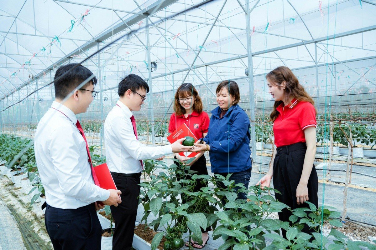 06-1780751108-agribank-giam-lai-suat-lan-toa-dong-von-gia-re-tao-dong-luc-thuc-day-tang-truong-kinh-te
