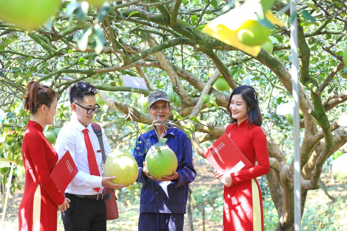 07-1780799962-agribank-day-manh-phat-trien-ben-vung-qua-cac-goi-tin-dung-xanh-uu-dai