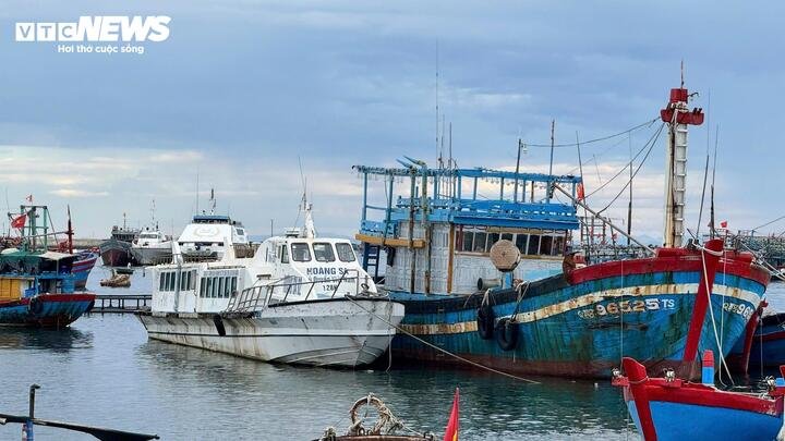 Tại khu vực vũng neo đậu tàu thuyền trên đặc khu Lý Sơn, tỉnh Quảng Ngãi, bên cạnh tàu cá ra vào tấp nập, nhiều năm qua xuất hiện hình ảnh các tàu vận tải hành khách nằm