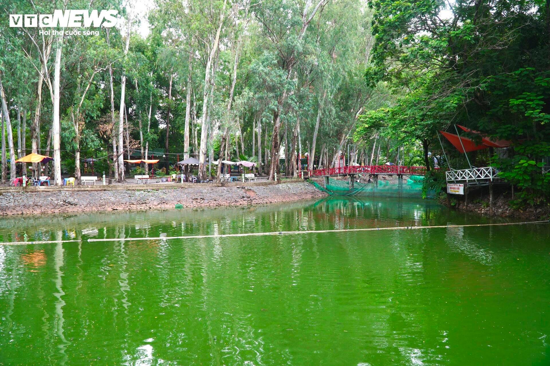Đề xuất lập ngân hàng dữ liệu mộ liệt sĩ gắn với từng trận đánh, sự kiện lịch sử - 1