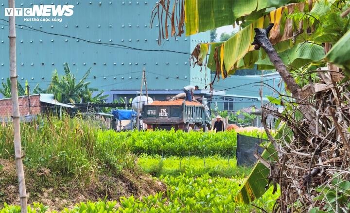 1 trong 2 chiếc xe tải vận chuyển đất
