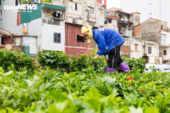 Hà Nội tăng tốc thi công đường 'đắt nhất hành tinh', quyết thông xe trước 2/9 - 7