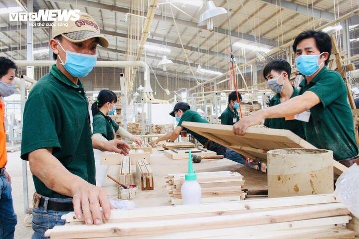 Các nhóm ngành thâm dụng lao động, đất đai được kiến nghị không thu hút đầu tư nước ngoài trong giai đoạn tới. (Ảnh: H. Linh)