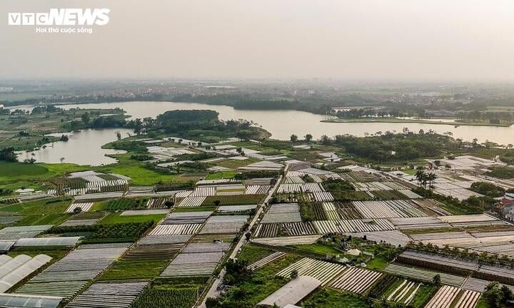 Trên địa bàn hiện đang triển khai nhiều dự án quy mô lớn như Khu đô thị đa mục tiêu Bắc Thăng Long Urban City, các khu nhà ở xã hội Tiên Dương, Bệnh viện TH, trụ sở các đơn vị thuộc Bộ Công an cùng nhiều dự án khác dọc trục Nhật Tân - Nội Bài.