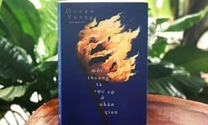 Cục Xuất bản yêu cầu thẩm định lại 'Một thoáng rực rỡ ở nhân gian'