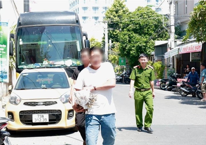 Du khách mang san hô khai thác trái phép giao nộp cho lực lượng chức năng.