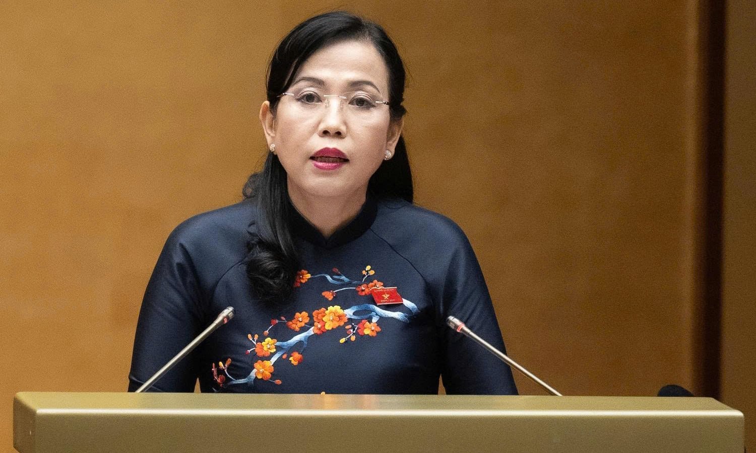 Chủ nhiệm Ủy ban Khoa học, Công nghệ và Môi trường Nguyễn Thanh Hải.