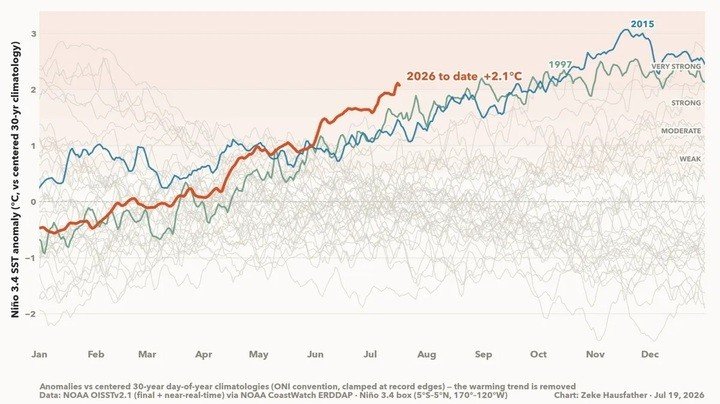 Biến động nhiệt độ hàng ngày tại vùng El Nino 3.4 ở trung tâm Thái Bình Dương qua dữ liệu vệ tinh, cho thấy El Nino 2026 mạnh hơn các đợt rất mạnh năm 1997 và 2015. (Nguồn: Berkeley Earth)