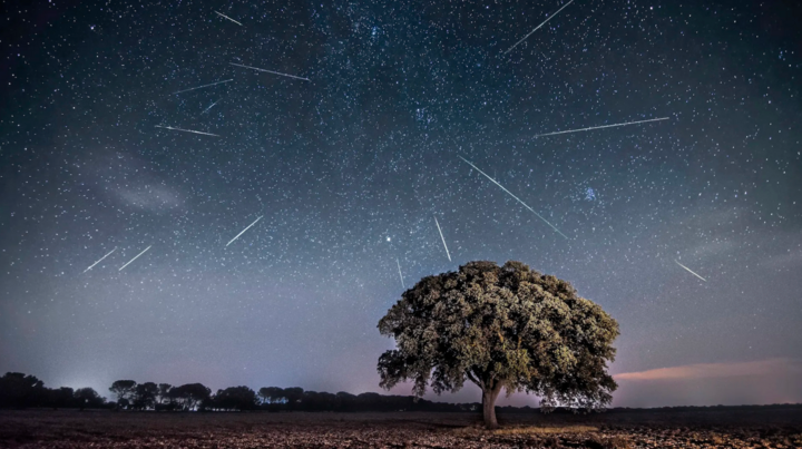 Sao băng Perseids sẽ đạt cực đại vào rạng sáng 13/8, với khoảng khoảng 80 vệt/giờ (Ảnh: Gabriel Gonzalez)