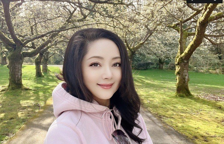 Con đường thành đại gia trăm triệu USD của mỹ nhân 'Hồng lâu mộng' - 4