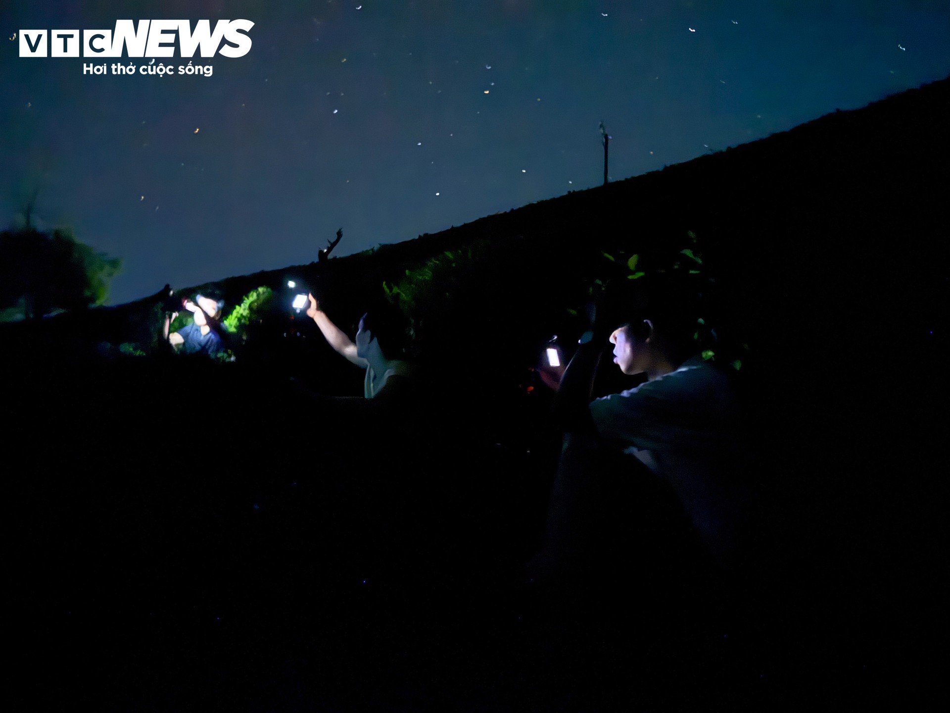 Săn mưa sao băng Perseids đẹp nhất năm: Cận cảnh những vệt sáng xé màn đêm - 5