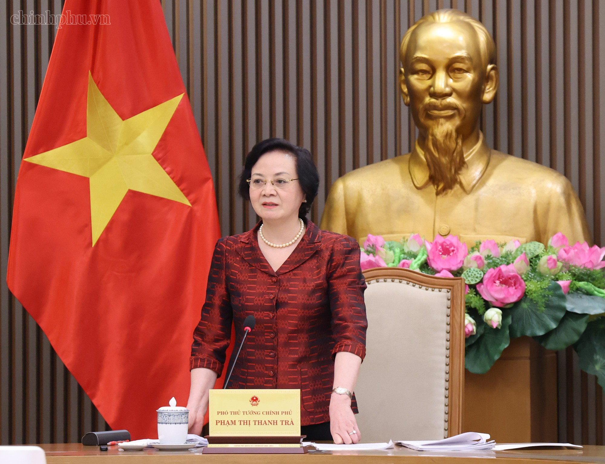 Phó Thủ tướng Phạm Thị Thanh Trà phát biểu tại hội nghị. (Ảnh: chinhphu.vn)
